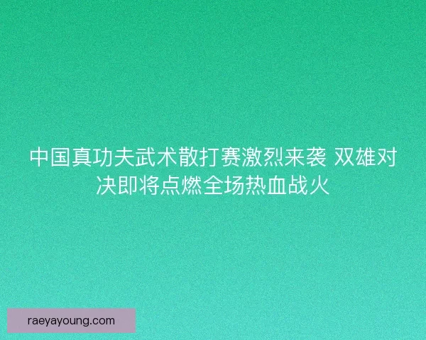 中国真功夫武术散打赛激烈来袭 双雄对决即将点燃全场热血战火
