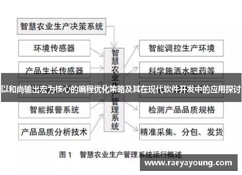 以和尚输出宏为核心的编程优化策略及其在现代软件开发中的应用探讨